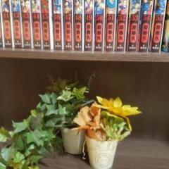 キングダム1～62