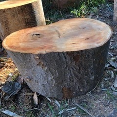 丸太テーブル　自然木　薪割り台（12/5までの限定販売）