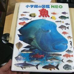 小学館の図鑑NEO 魚 [jp_oversized_book] ...