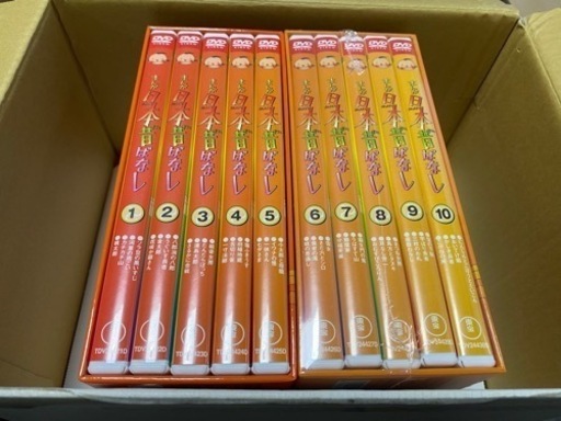 珍しい中胡の中古品、まだ綺麗です！