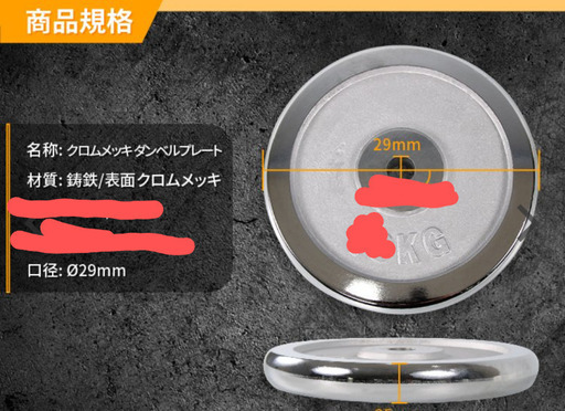 ダンベルプレート 20kg 2枚 Absports エービースポーツ 鋳鉄製 クロームアイロンプレート