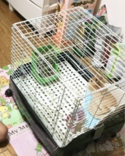 取引中 うさぎ飼育セットケージトイレ給水機餌箱牧草入れボール あいママ 稲毛海岸のその他の中古あげます 譲ります ジモティーで不用品の処分