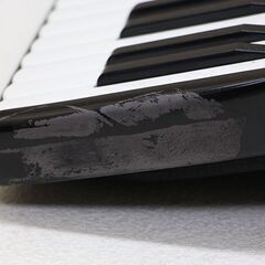 EXCELSIOR　エキセルシァー　アコーディオン　1315E　41鍵盤　イタリア製 (E1133mwxY)