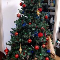 【大きなクリスマスツリー】オーナメント含めお譲りします