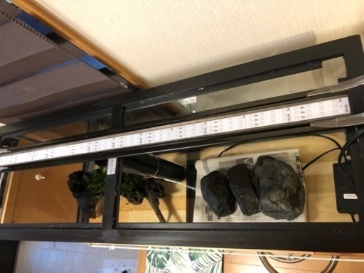 年内取引希望 値下げ中90cm水槽セット！！