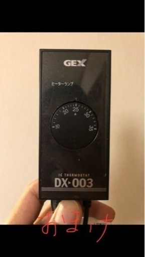 年内取引希望 値下げ中90cm水槽セット！！