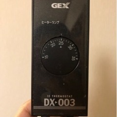 年内取引希望 値下げ中90cm水槽セット！！