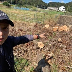 木の伐採　草刈り　豊川便利屋まで