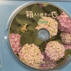 箱入り息子の恋 星野源 - 本/CD/DVD