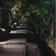 京都観光❣️