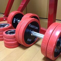 状態良好 ファイティングロード/FIGHTING ROAD フラットインクラインベンチ－ＴRUST+ラバープレート55Kg+ダンベルシャフト 2本 手渡し希望/自社配送可能（配送エリアについてお問い合わせください）
