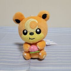 ヒメグマの中古が安い 激安で譲ります 無料であげます ジモティー