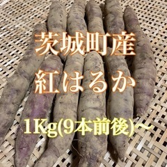 茨城町産サツマイモ 紅ハルカ けいさん様5Kg