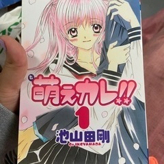 【ネット決済】萌えカレ①〜⑤再投稿値下げ