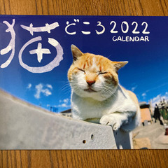 2022 カレンダー 猫