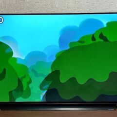 LG有機ELテレビ OLED48C1PJB 2021年モデル