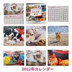 かわいいペットのカレンダー　2022