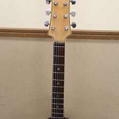 テスコ TEISCO ベガス40 Vegas40 セミアコ 1960年代製 国産ビザール 