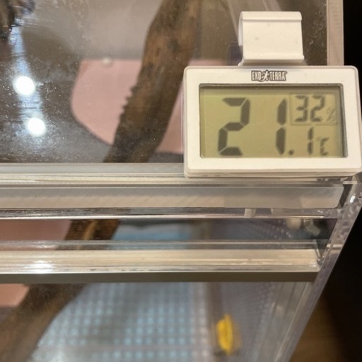 モモンガアクリルゲージ ※一時停止