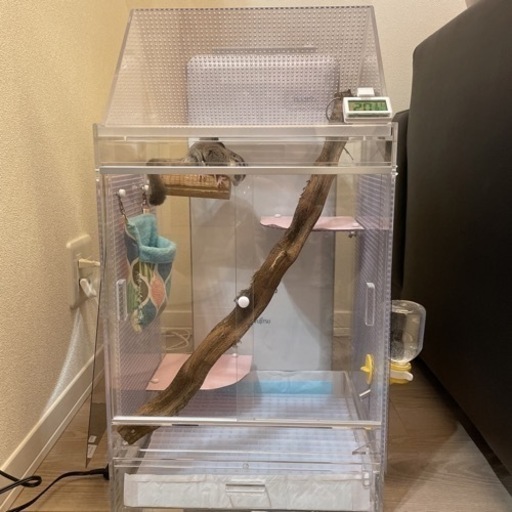 モモンガアクリルゲージ ※一時停止