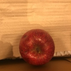 りんご　大根の画像