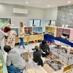 保護猫♡譲渡会in福岡市南区＊20匹が大集合♪