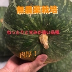 えびす　北海道産完全無農薬かぼちゃ