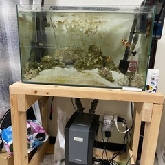 海水魚水槽全部セット売り！！