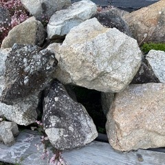 大中小の石たくさん - その他