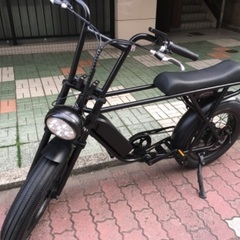 🔹電動アシスト🔹 BRONX BUGGY