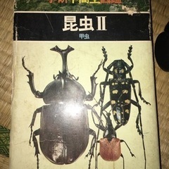 昆虫図鑑　学習研究社