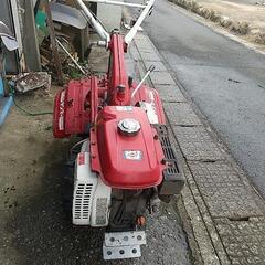 キャンセルが 出ましたので