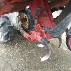 キャンセルが 出ましたので