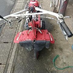 キャンセルが 出ましたので