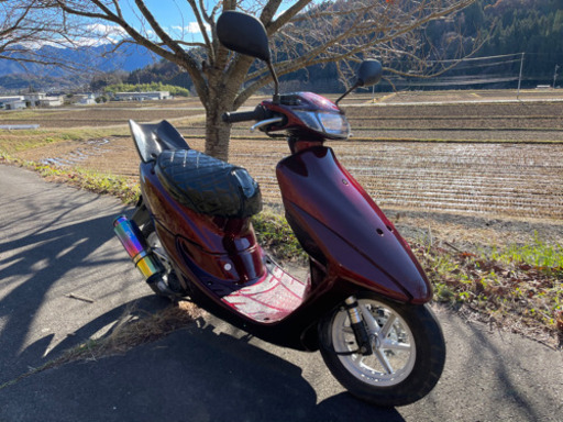ライブディオ　ZX ローダウン　50cc