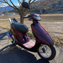 ライブディオ　ZX ローダウン　50cc