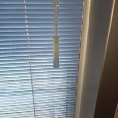 ブラインド シルキーカーテン 100 x 122