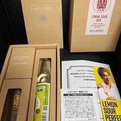 EXILE TAKAHIRO監修 宝酒造 銅の宝箱 レモンサワー...