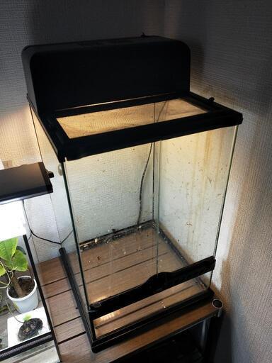 最旬トレンドパンツ カブトテラリウム クワテラリウム 3045 グラステラリウム ジェックス 未使用展示品 飼育ケース Baladaroyalle Com Br