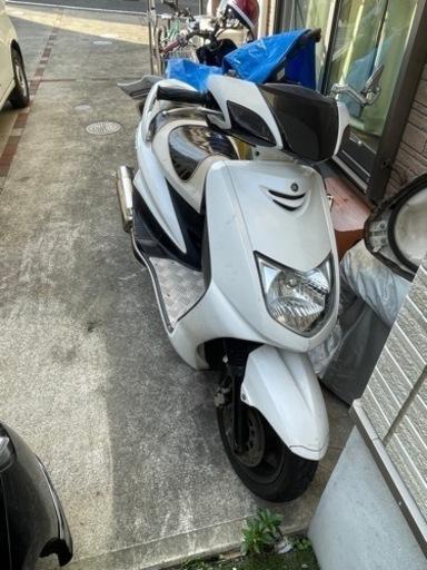 シグナス　１型