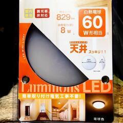 【ネット決済】【最終値下げ】ドウシシャ LED小型ライト/屋内専...