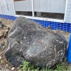 庭石・大きな石・もらってください - 東近江市