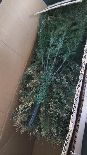 230センチ　クリスマスツリー　本物みたい