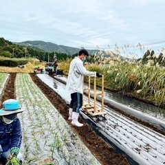 【Agreed👨‍🌾】学生限定バイト❗️❗️❗️お給料+お土産❣️