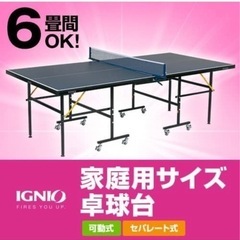 卓球台　IGNI 無料差し上げます