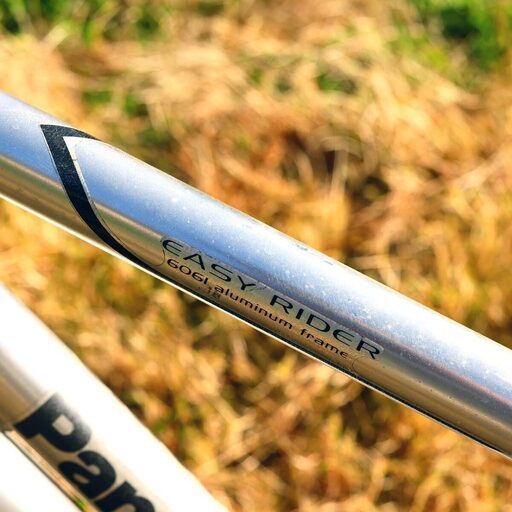 軽いアルミフレーム＋オートライトで通勤・通学に最適！ パナソニック6