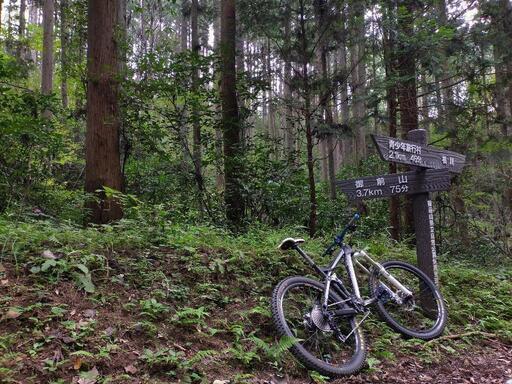 フルサスMTB マウンテンバイク　devinci dixon
