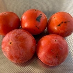 収穫されて数日倉庫に置かれていた柿