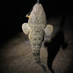 釣り仲間募集　2人ぐらい