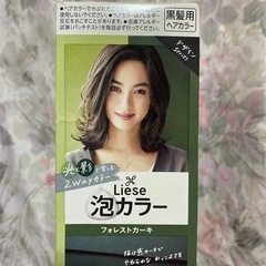 リーゼ 泡ヘアカラー フォレストカーキ(今年5月頃購入未使用)